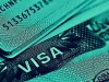 Assistance in obtaining a P-visa in the USA